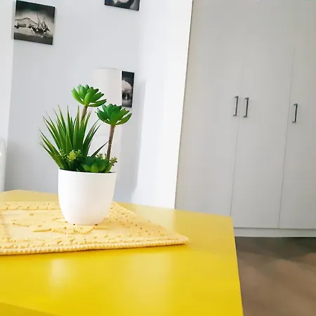 Buna Ziua Tonitza Nic. Appartement