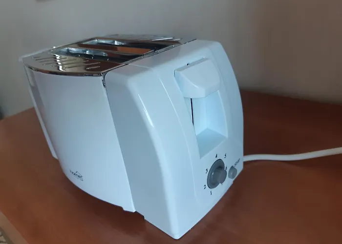 Buna Ziua Tonitza Nic.